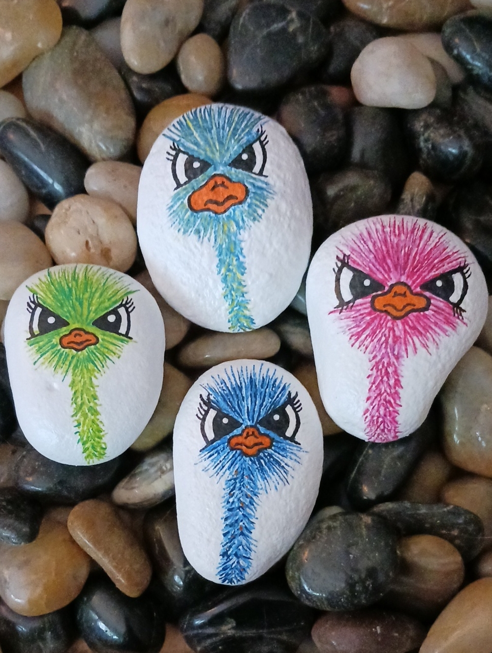 Hand Painted Ostrich Rocks